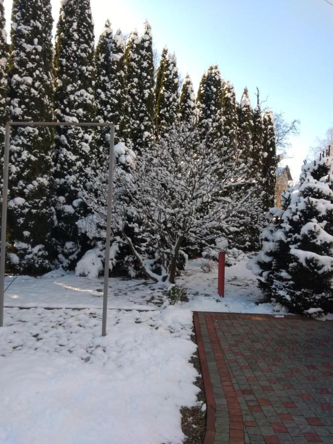 Вілла Едельвейс Morshyn Buitenkant foto